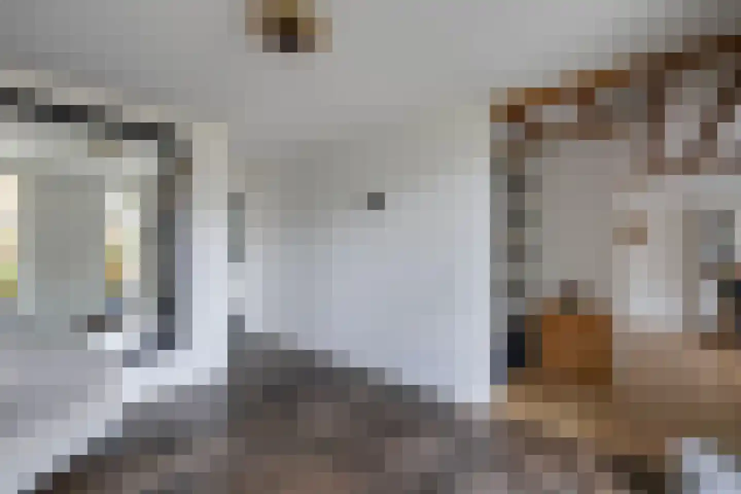 Van Hoorns Houtweg 2 Huizen thumbnail 8
