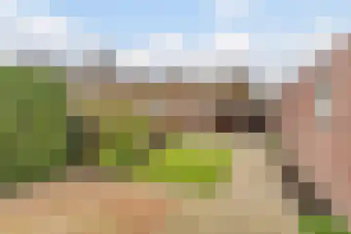 Van Hoornstraat 15 Hilvarenbeek thumbnail 36