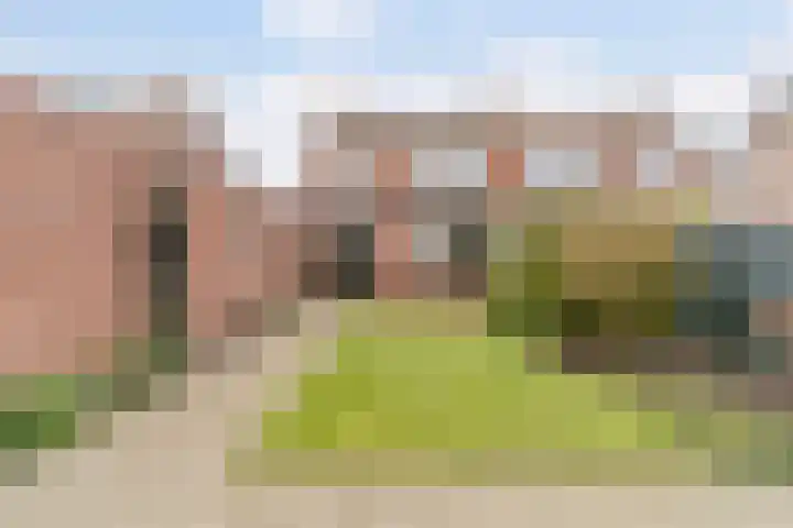 Van Hoornstraat 15 Hilvarenbeek thumbnail 45