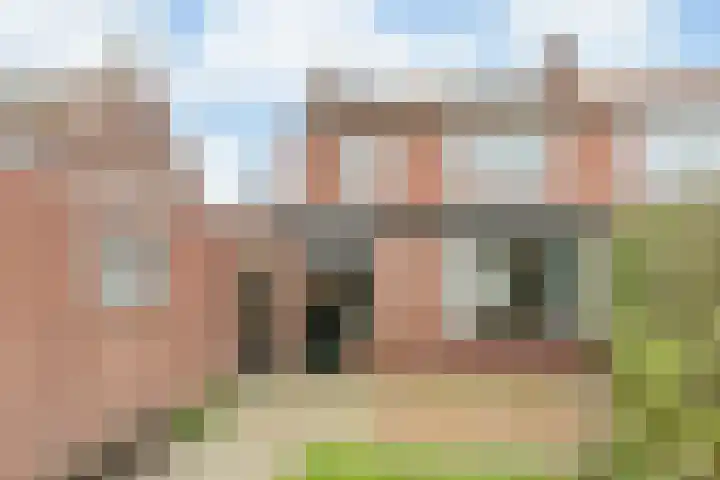 Van Hoornstraat 15 Hilvarenbeek thumbnail 46