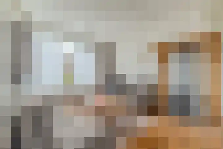 Van Hoornstraat 15 Hilvarenbeek thumbnail 5