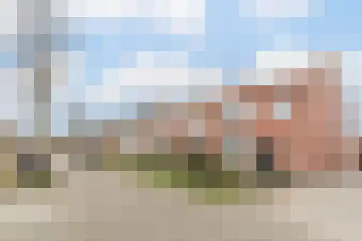 Van Hoornstraat 15 Hilvarenbeek thumbnail 53