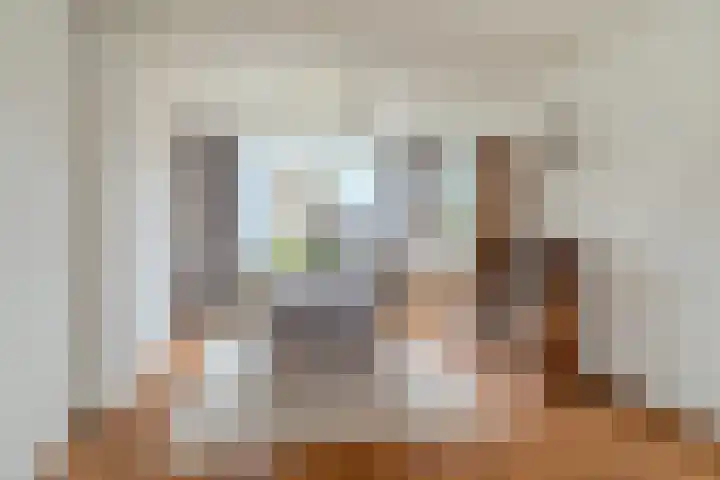 Van Hoornstraat 15 Hilvarenbeek thumbnail 6
