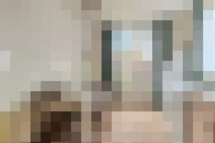 Van Hoornstraat 15 Hilvarenbeek thumbnail 7