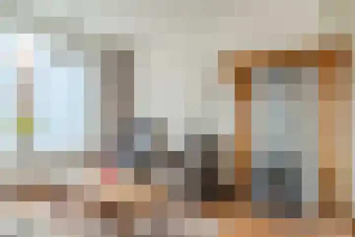 Van Hoornstraat 15 Hilvarenbeek thumbnail 8