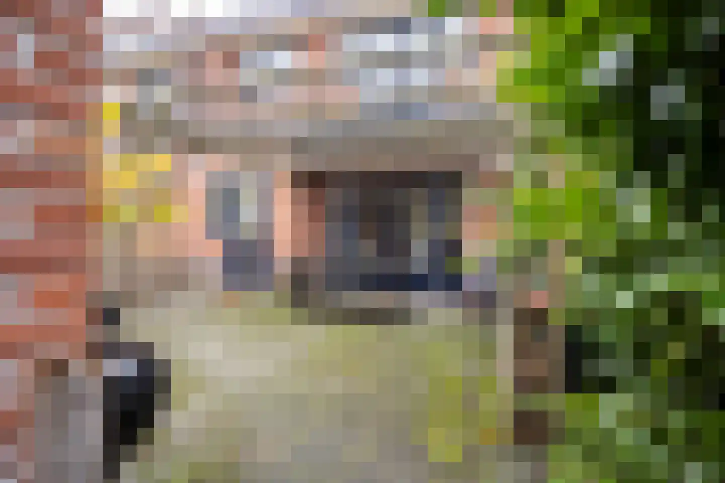 Van Hoornstraat 28 Hilversum thumbnail 13