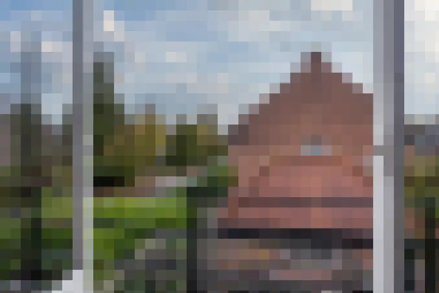 Van Hoornstraat 28 Hilversum thumbnail 22