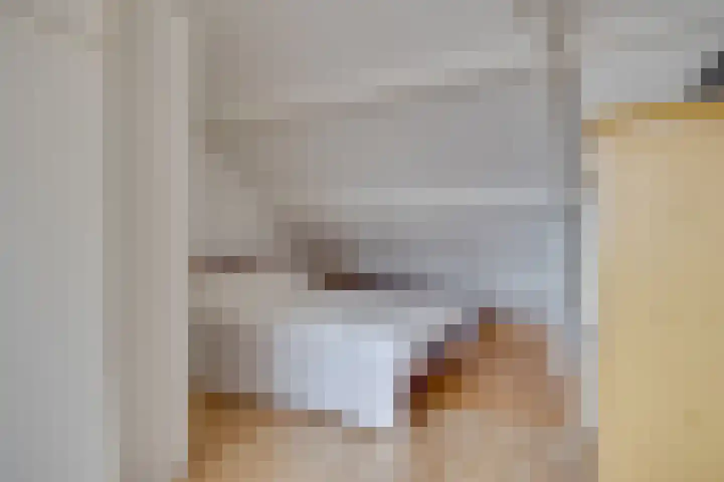Van Hoornstraat 28 Hilversum thumbnail 30