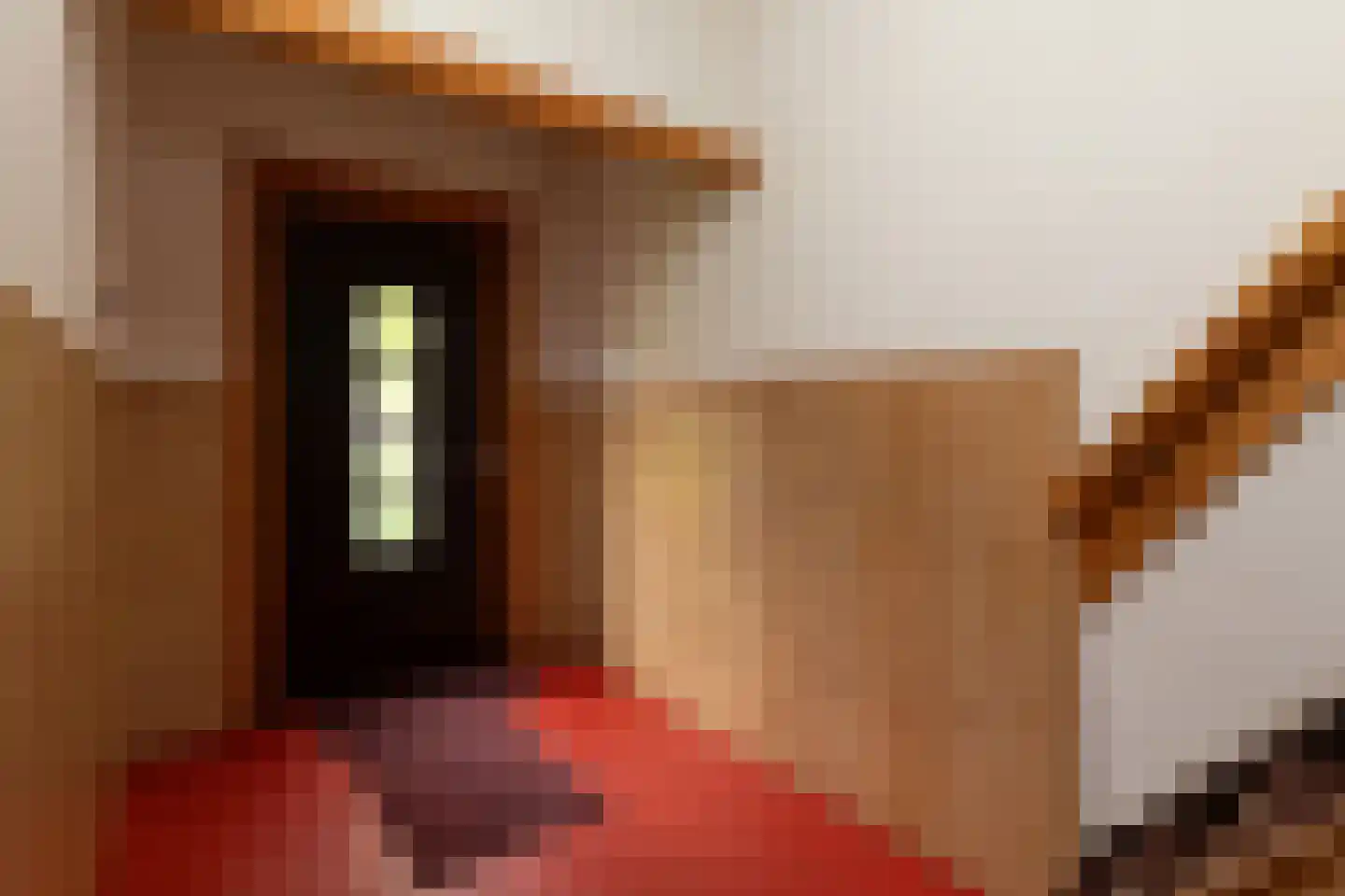 Van Hoornstraat 36 Hilversum thumbnail 23