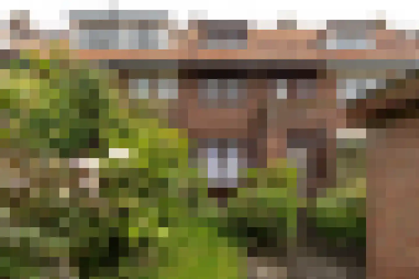 Van Hoornstraat 36 Hilversum thumbnail 24