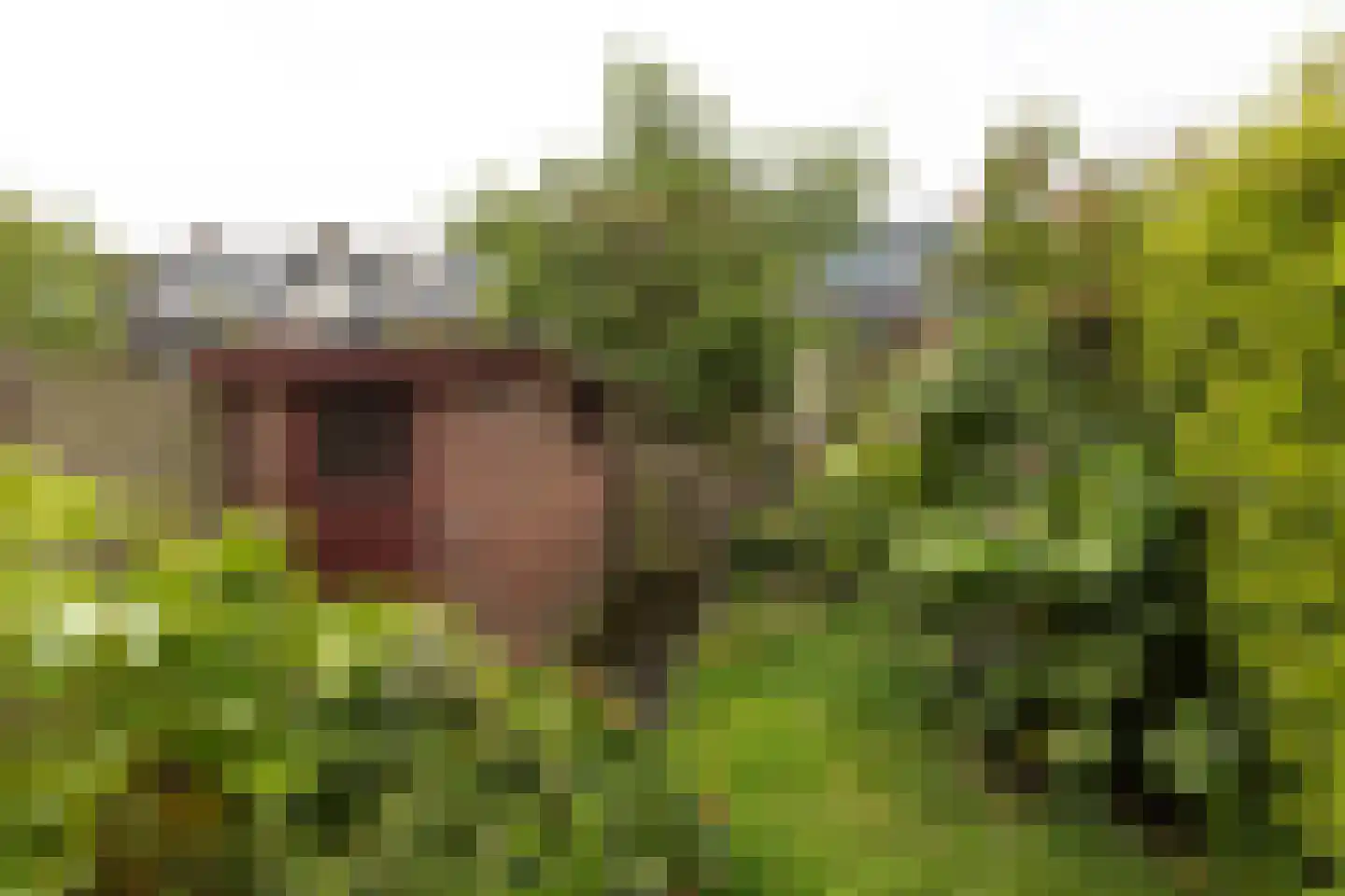 Van Hoornstraat 36 Hilversum thumbnail 26