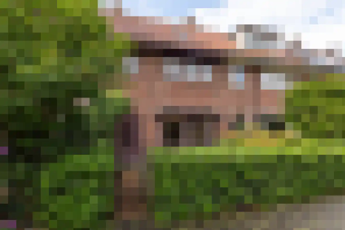 Van Hoornstraat 36 Hilversum thumbnail 27
