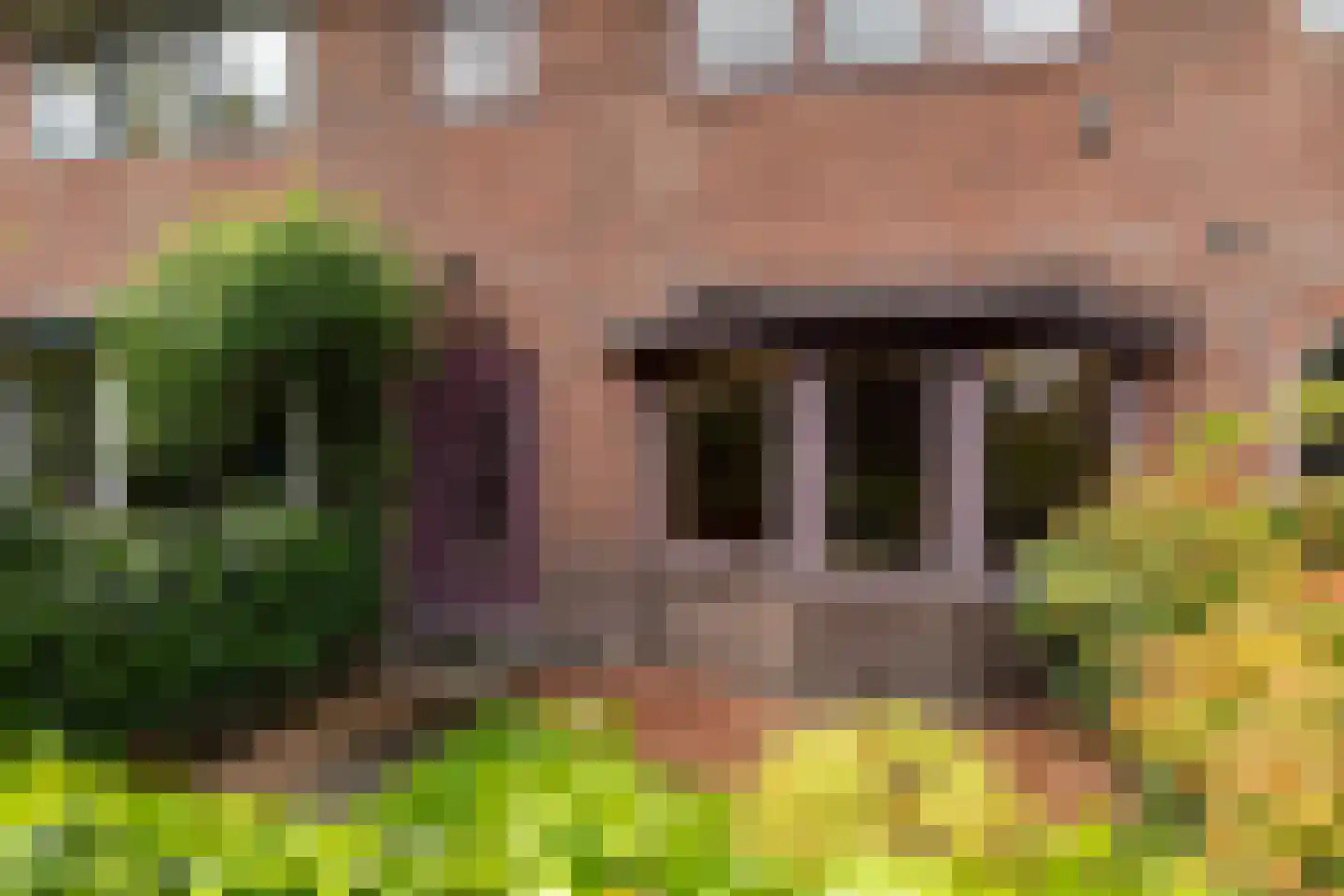 Van Hoornstraat 36 Hilversum thumbnail 4