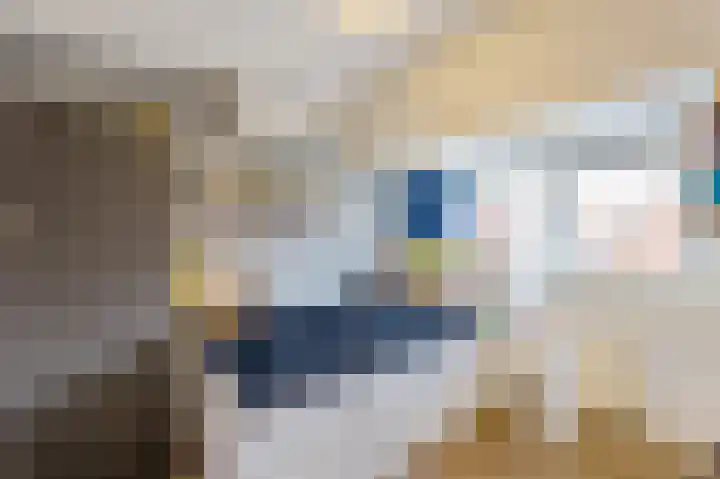 Van Hoornstraat 7 Hilversum thumbnail 13
