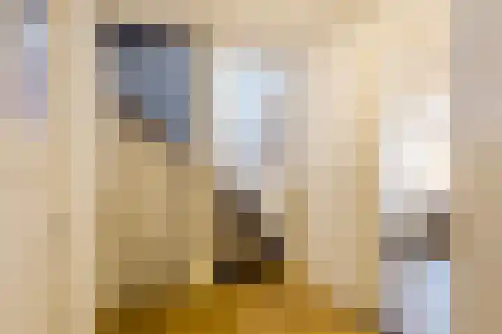 Van Hoornstraat 7 Hilversum thumbnail 21