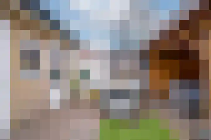 Van Hoornstraat 7 Hilversum thumbnail 26