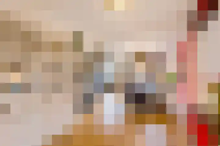 Van Hoornstraat 7 Hilversum thumbnail 7