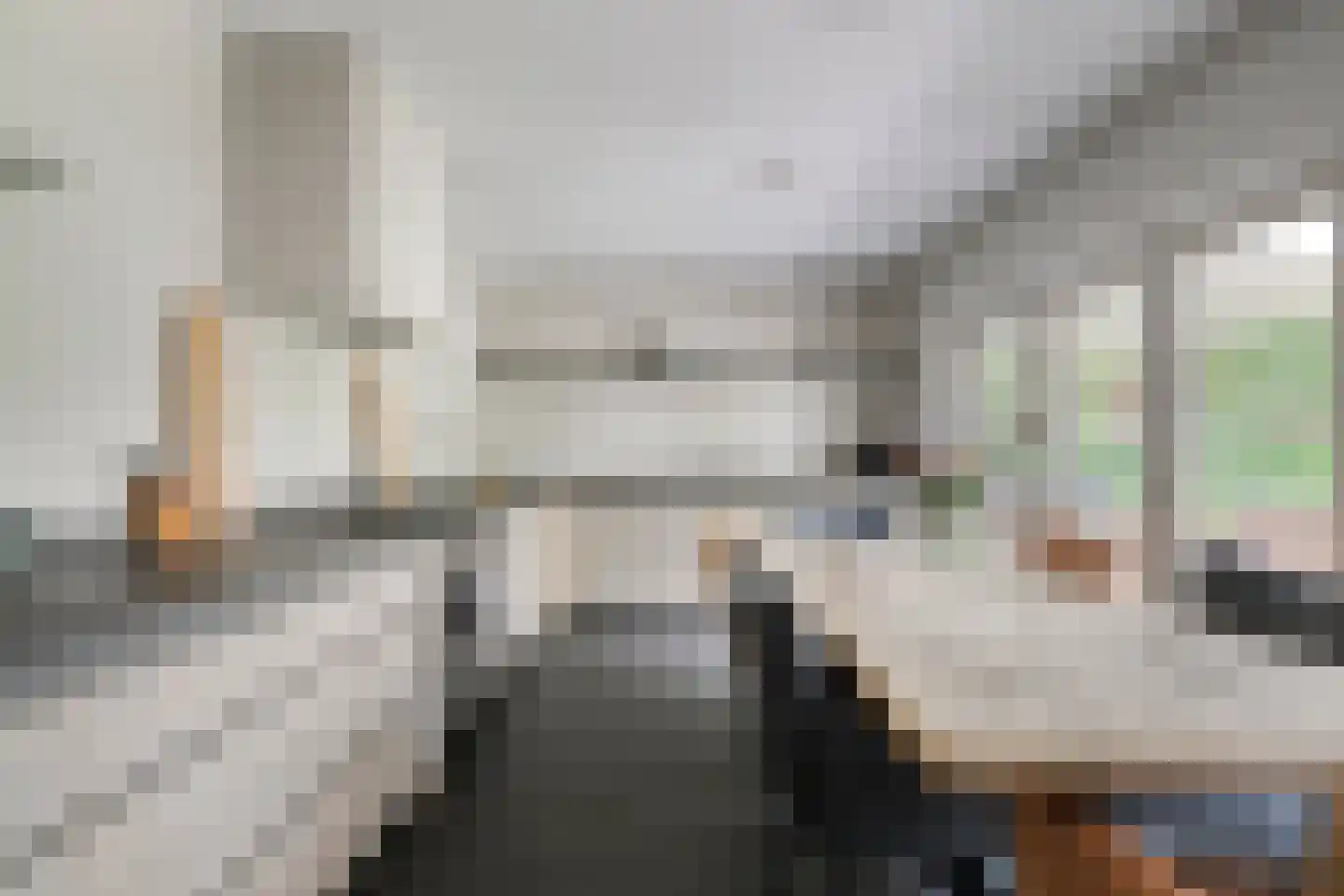 van Hornestraat 15 Loon op Zand thumbnail 10