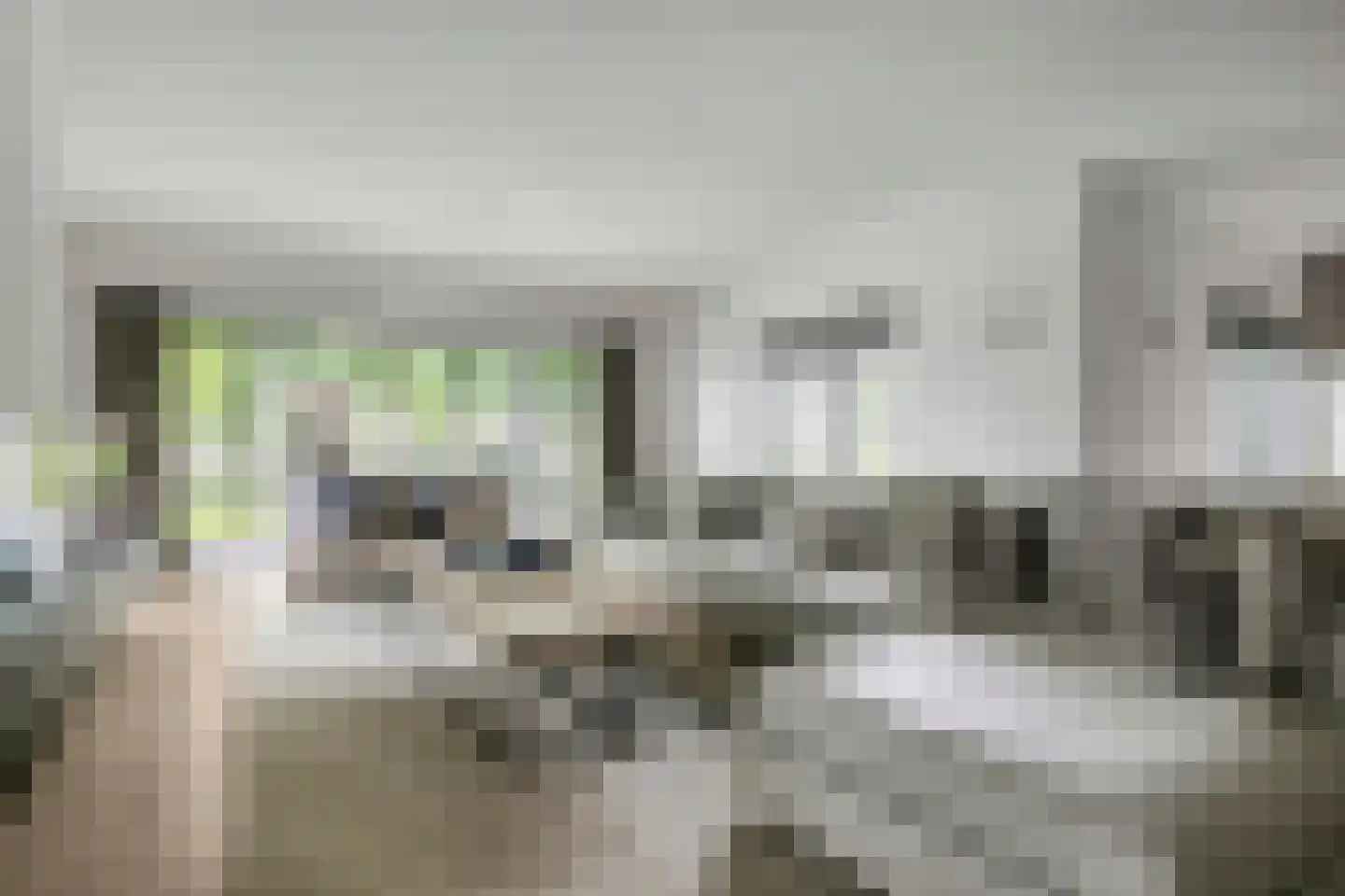 van Hornestraat 15 Loon op Zand thumbnail 21