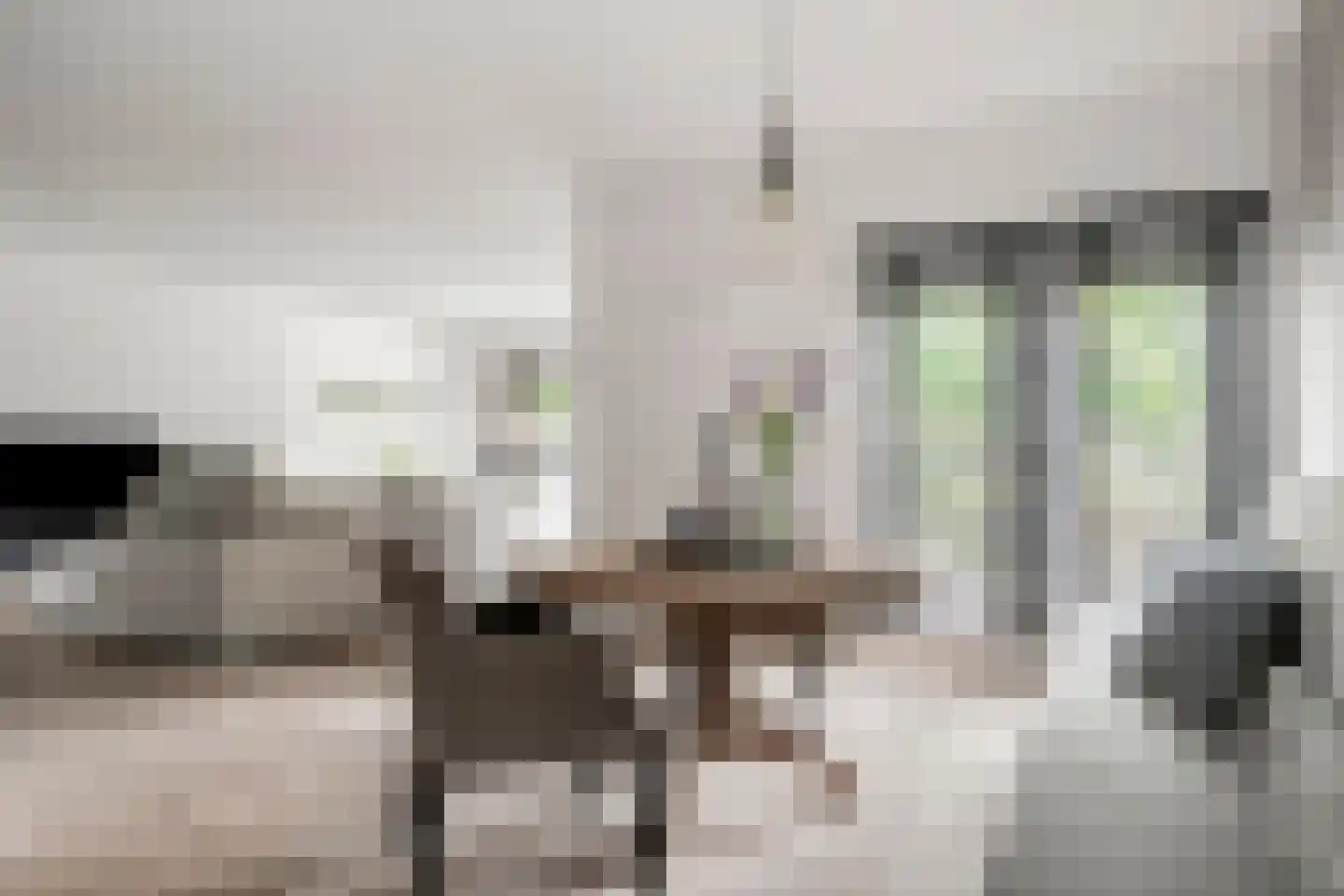 van Hornestraat 15 Loon op Zand thumbnail 25