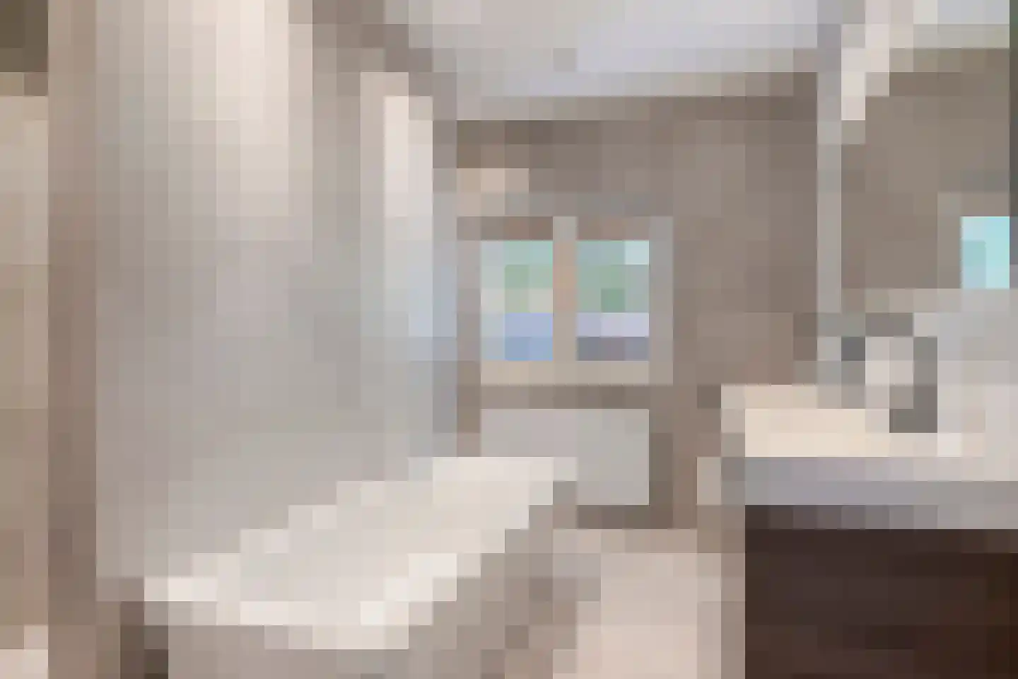van Hornestraat 15 Loon op Zand thumbnail 36
