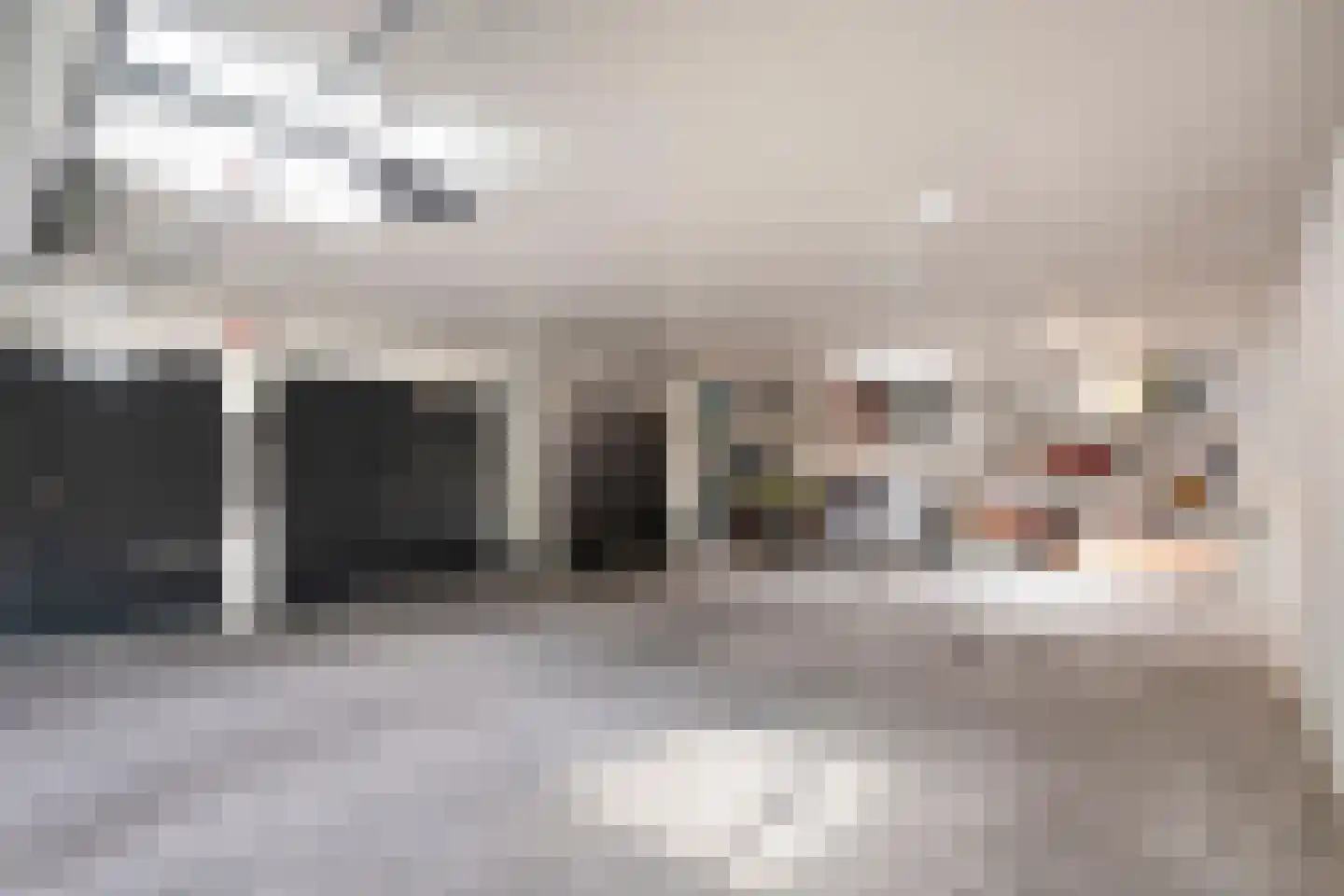 van Hornestraat 15 Loon op Zand thumbnail 45