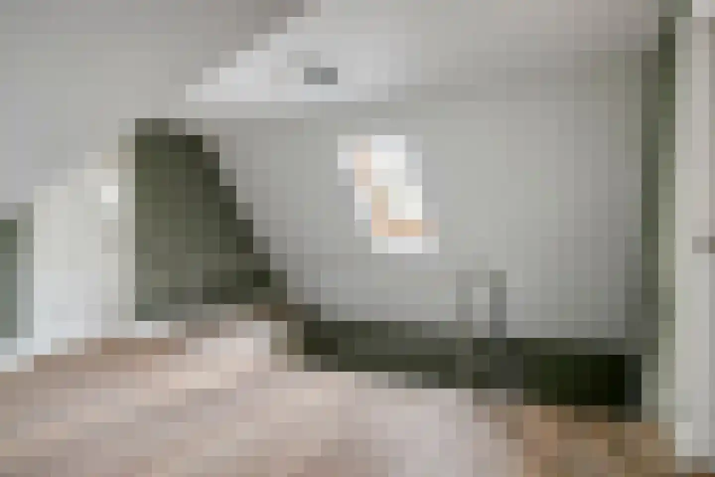 van Hornestraat 15 Loon op Zand thumbnail 47