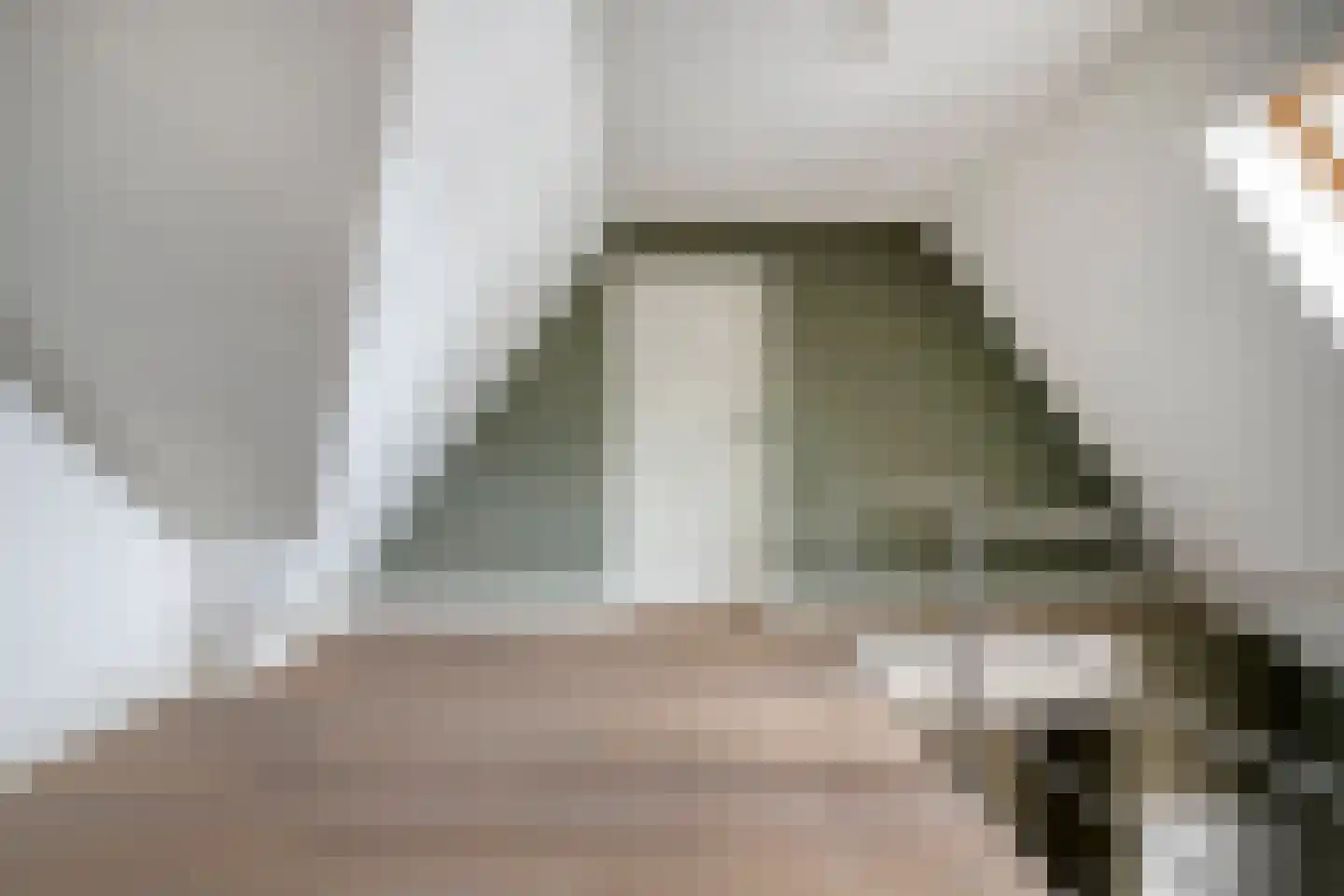 van Hornestraat 15 Loon op Zand thumbnail 48