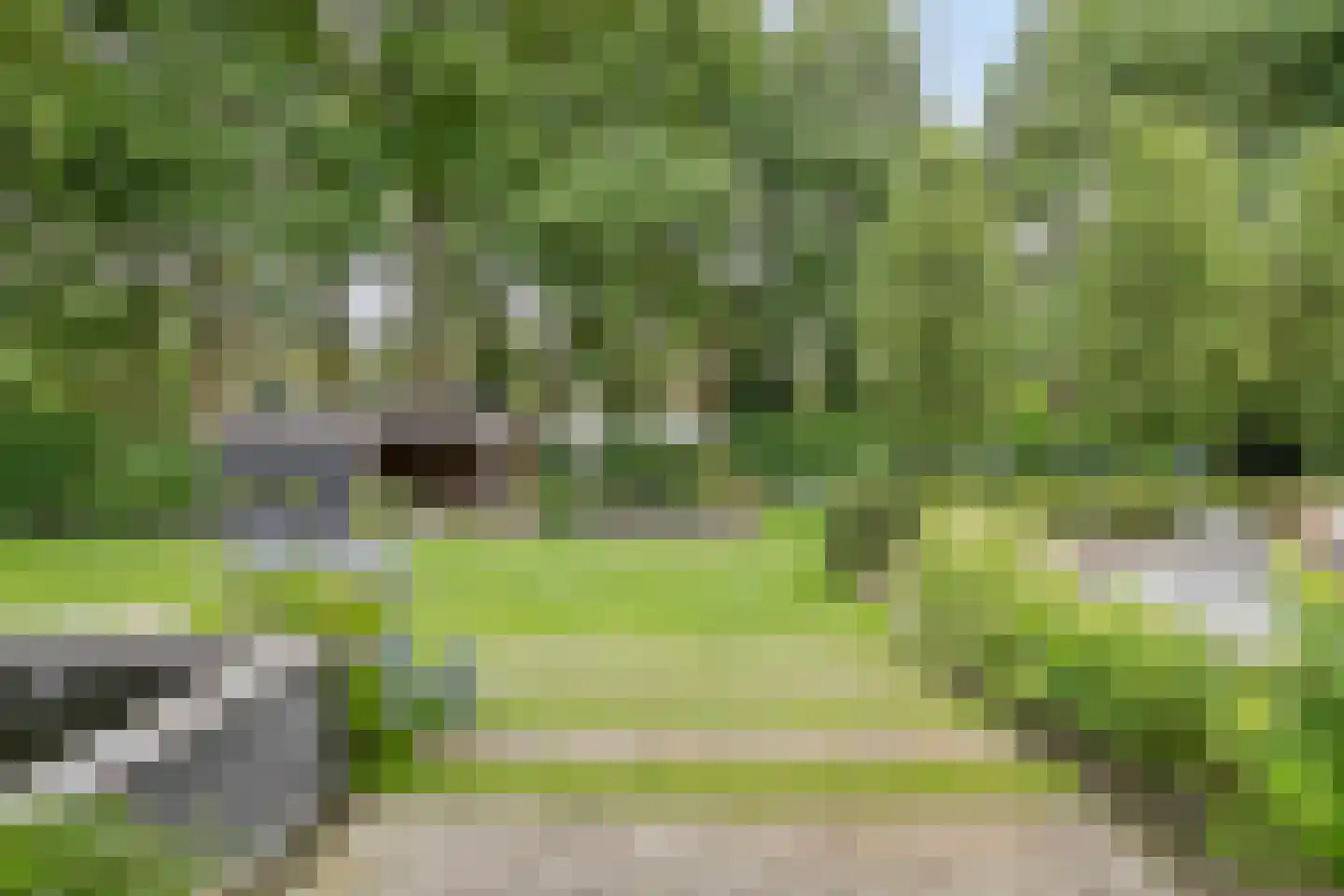 van Hornestraat 15 Loon op Zand thumbnail 5