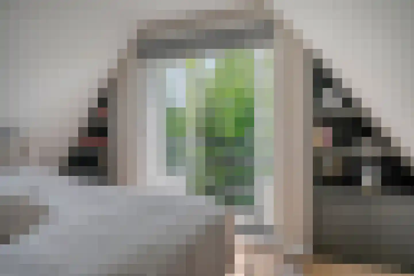 van Hornestraat 15 Loon op Zand thumbnail 56