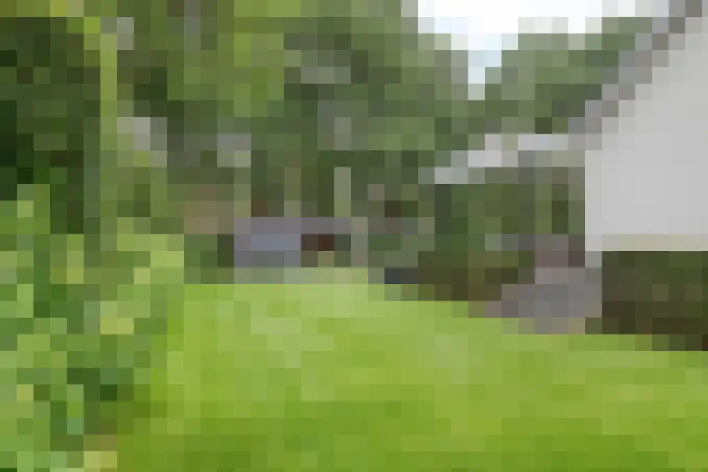 van Hornestraat 15 Loon op Zand thumbnail 70