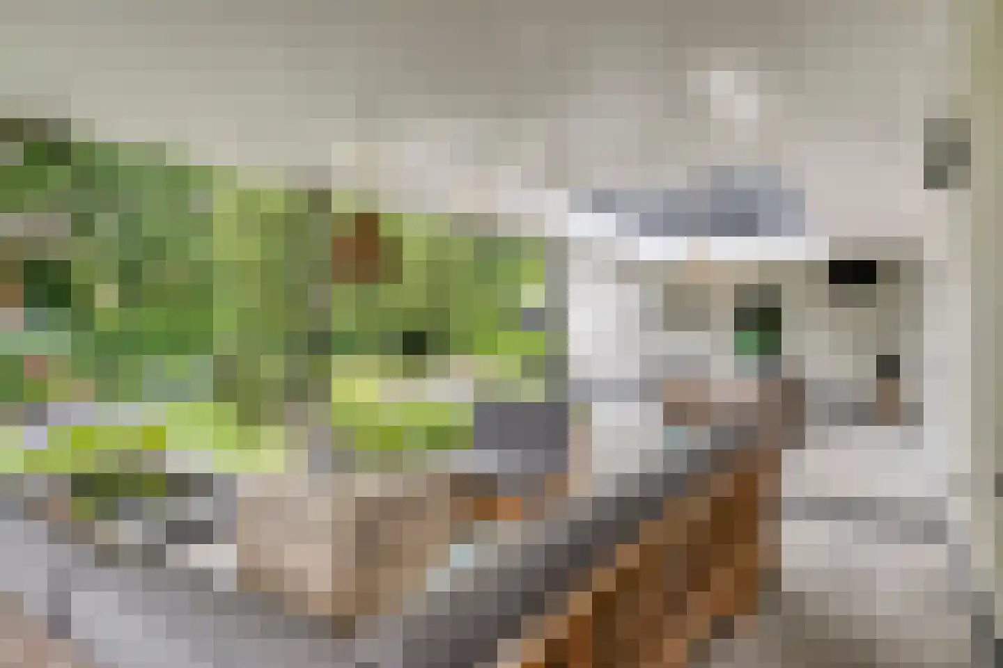 van Hornestraat 15 Loon op Zand thumbnail 71