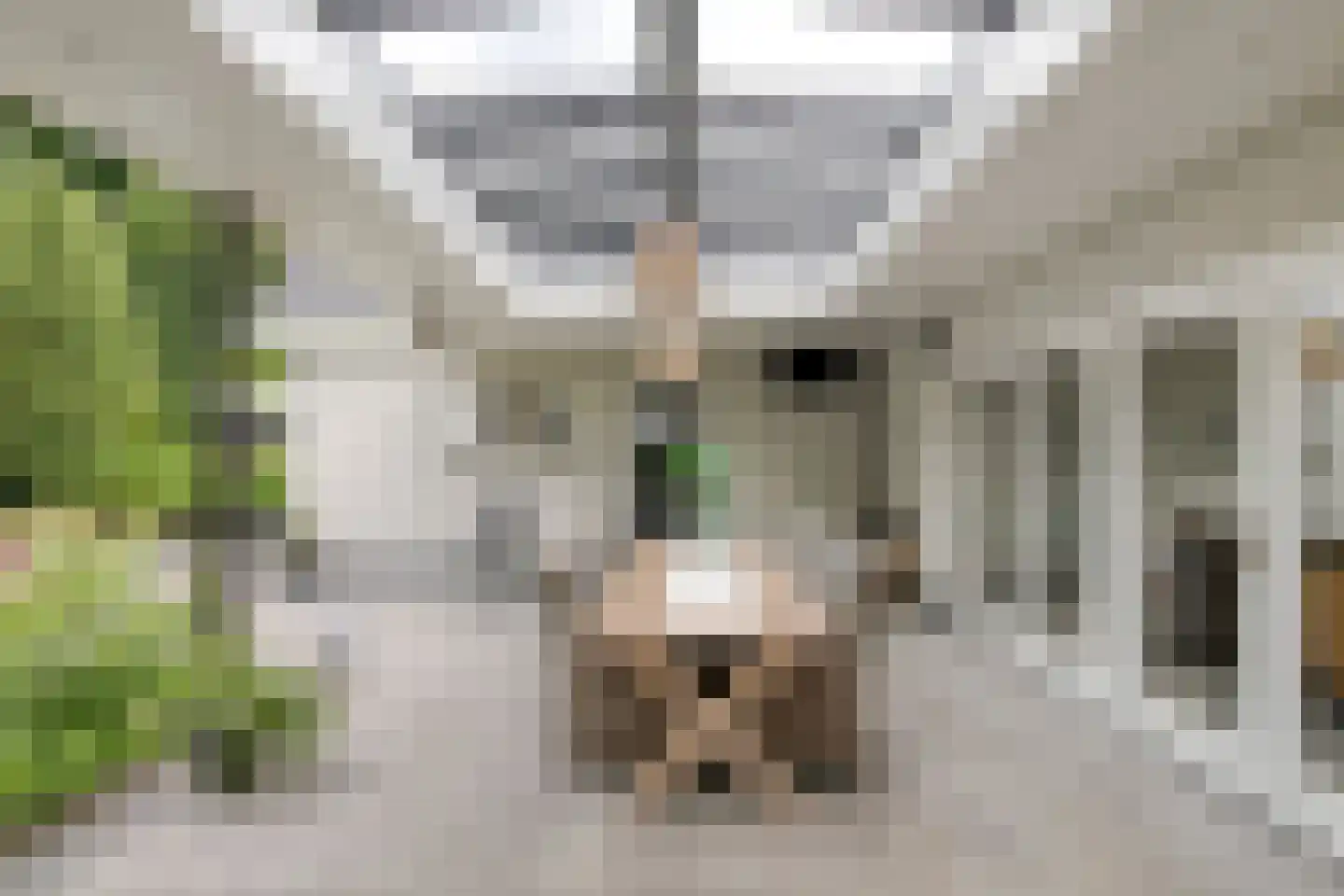 van Hornestraat 15 Loon op Zand thumbnail 72