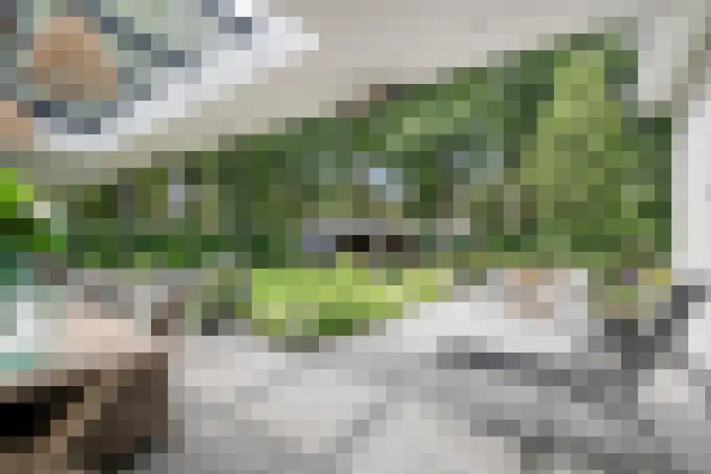 van Hornestraat 15 Loon op Zand thumbnail 76