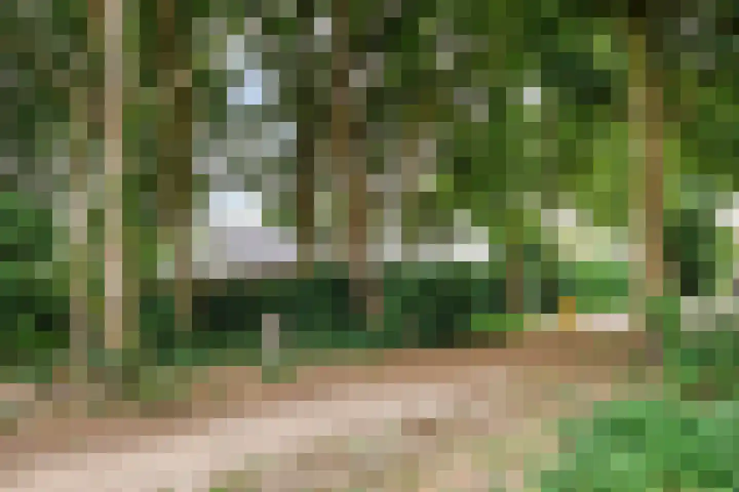 van Hornestraat 15 Loon op Zand thumbnail 83