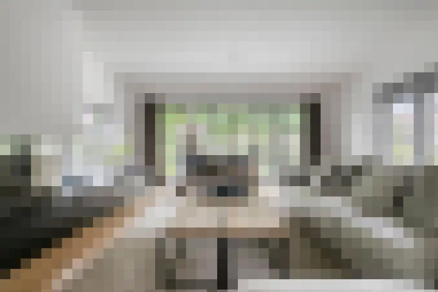 van Hornestraat 15 Loon op Zand thumbnail 9