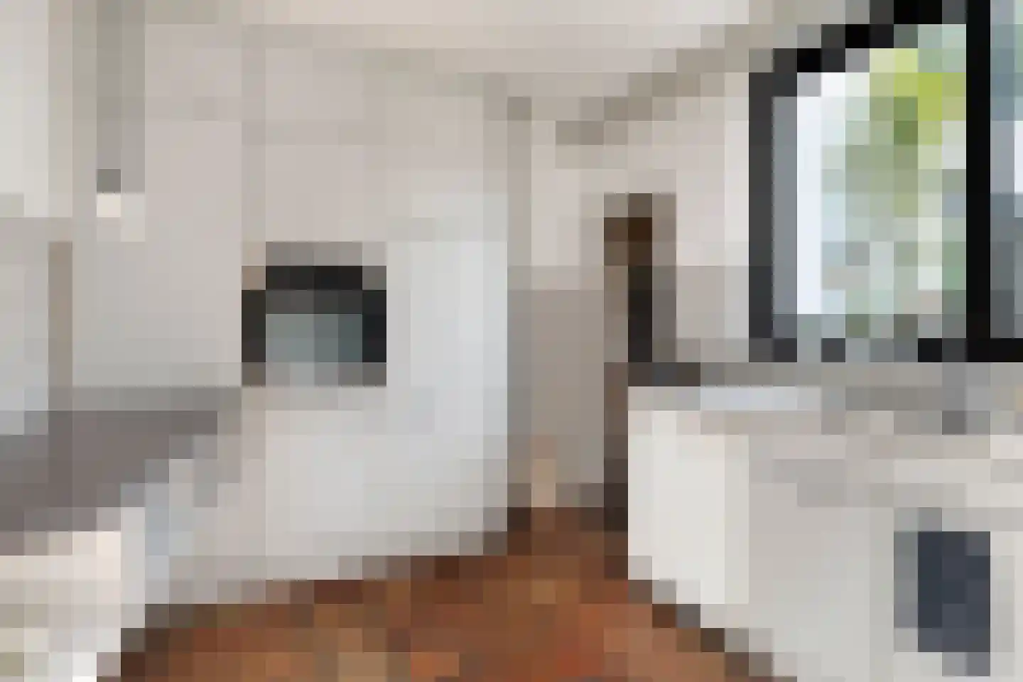 van Hornestraat 6 Loon op Zand thumbnail 17