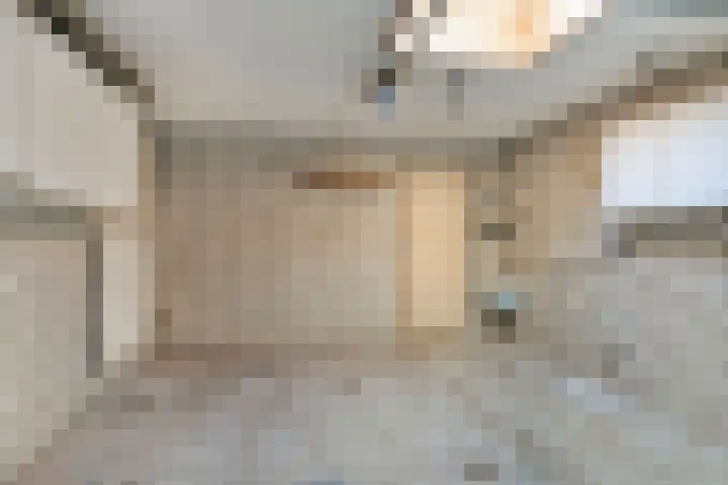 van Hornestraat 6 Loon op Zand thumbnail 32
