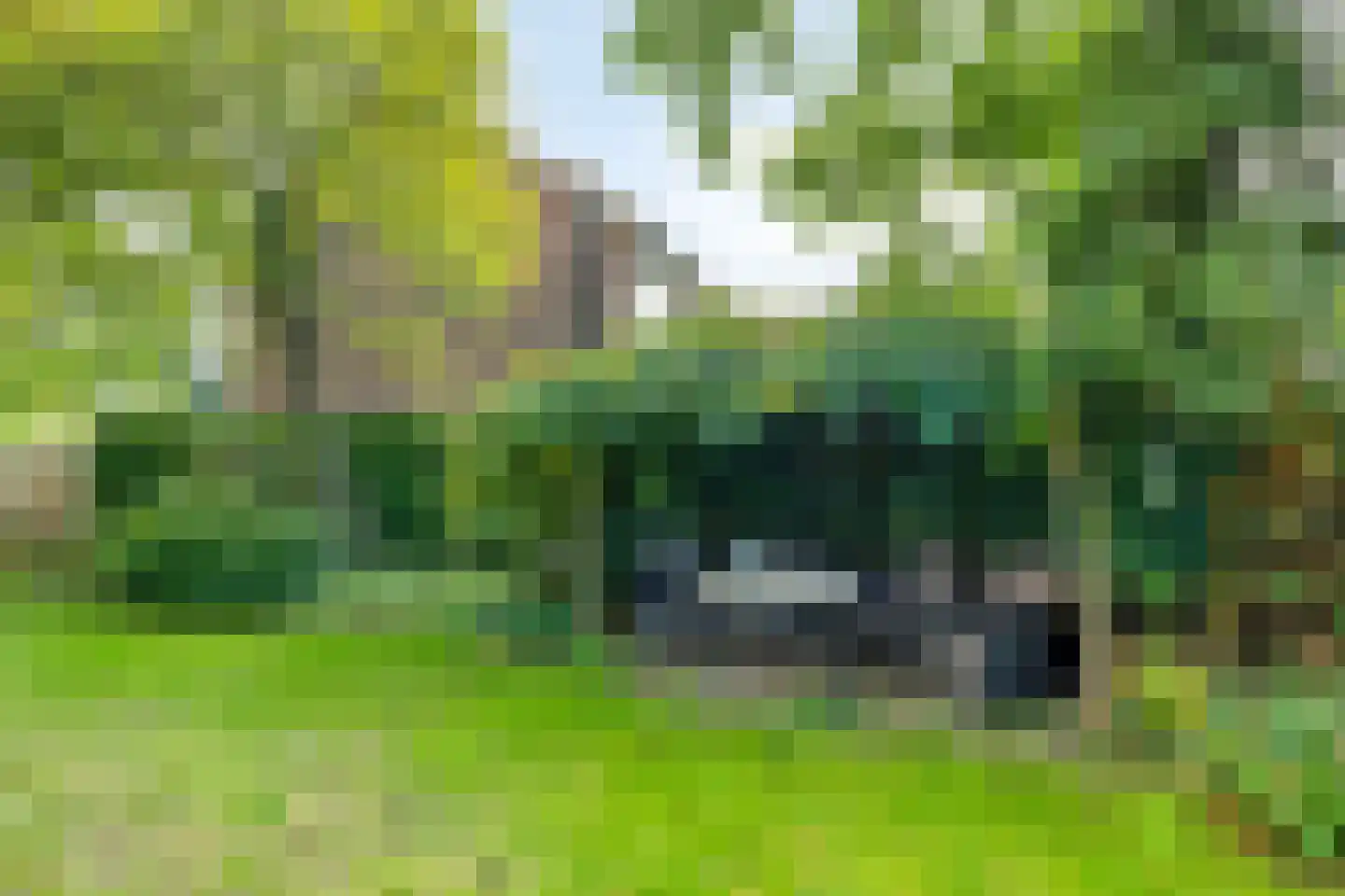 van Hornestraat 6 Loon op Zand thumbnail 36