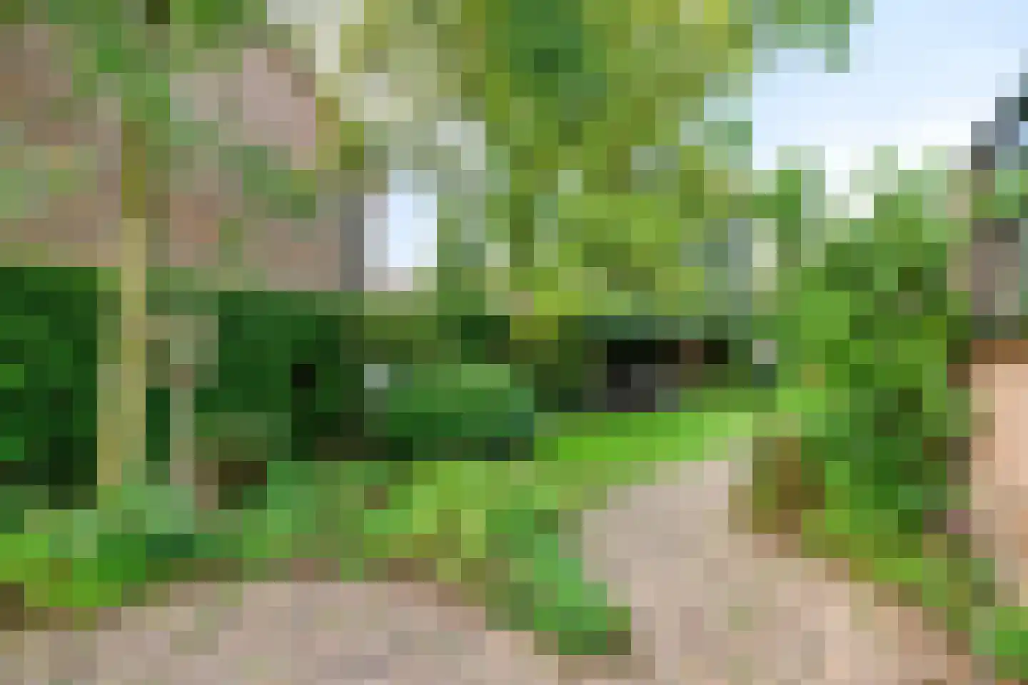 van Hornestraat 6 Loon op Zand thumbnail 37