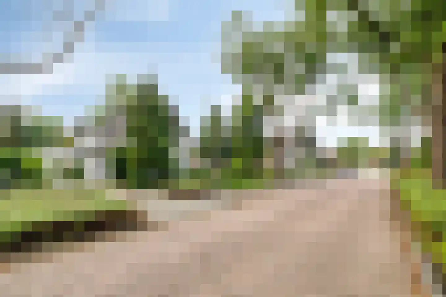 van Hornestraat 6 Loon op Zand thumbnail 38