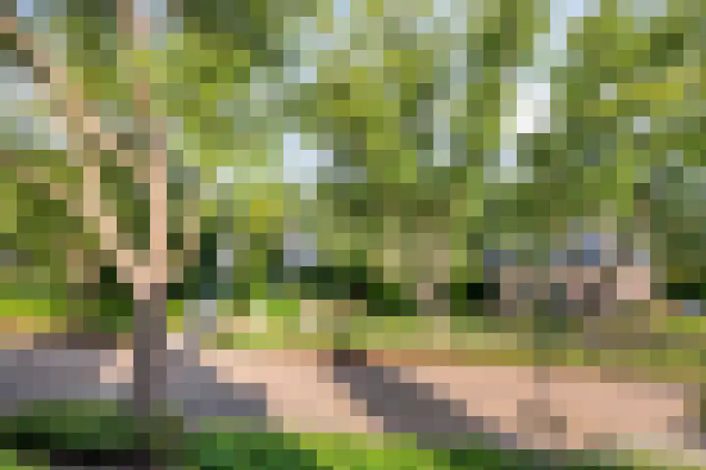 van Hornestraat 6 Loon op Zand thumbnail 39