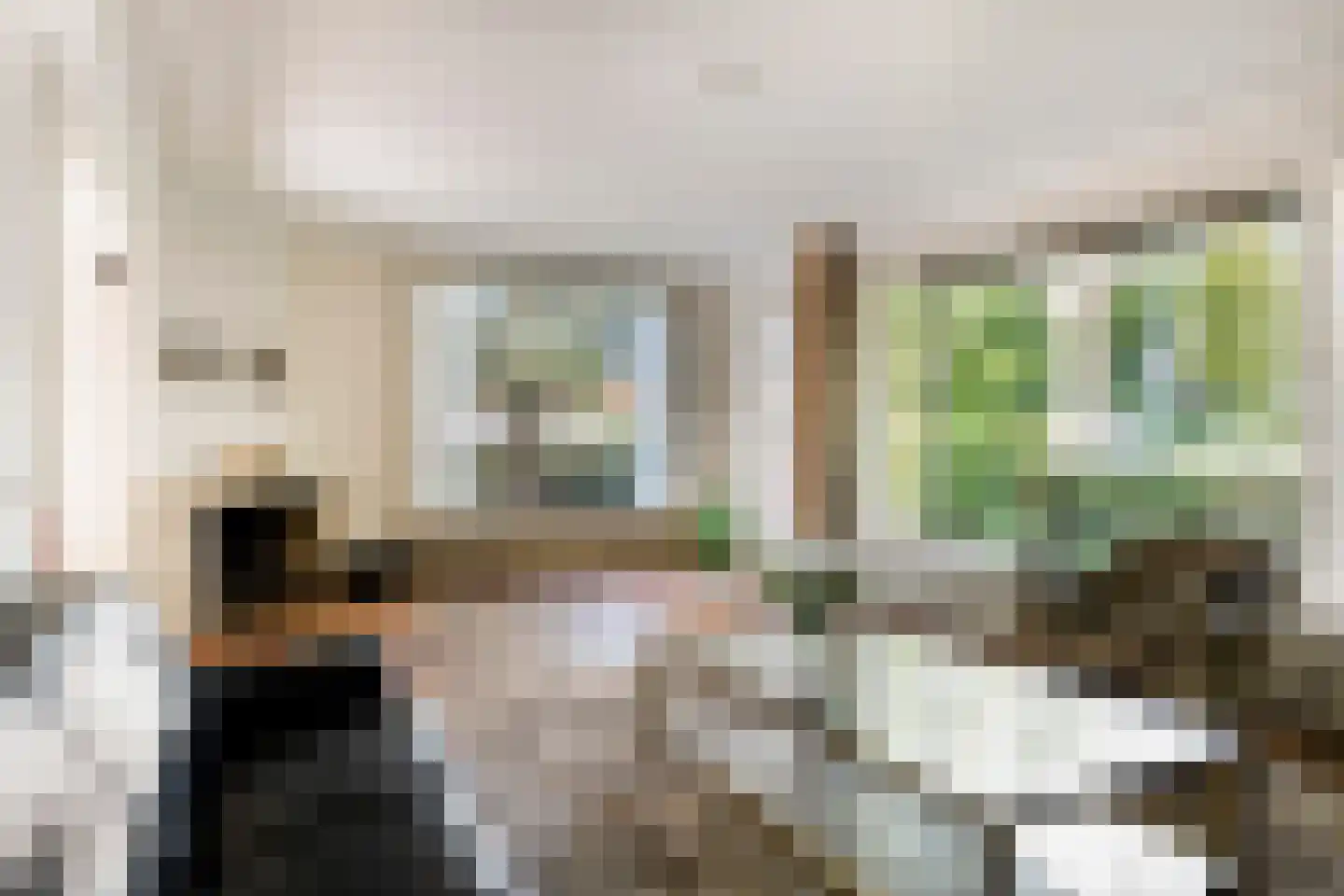 van Hornestraat 6 Loon op Zand thumbnail 4