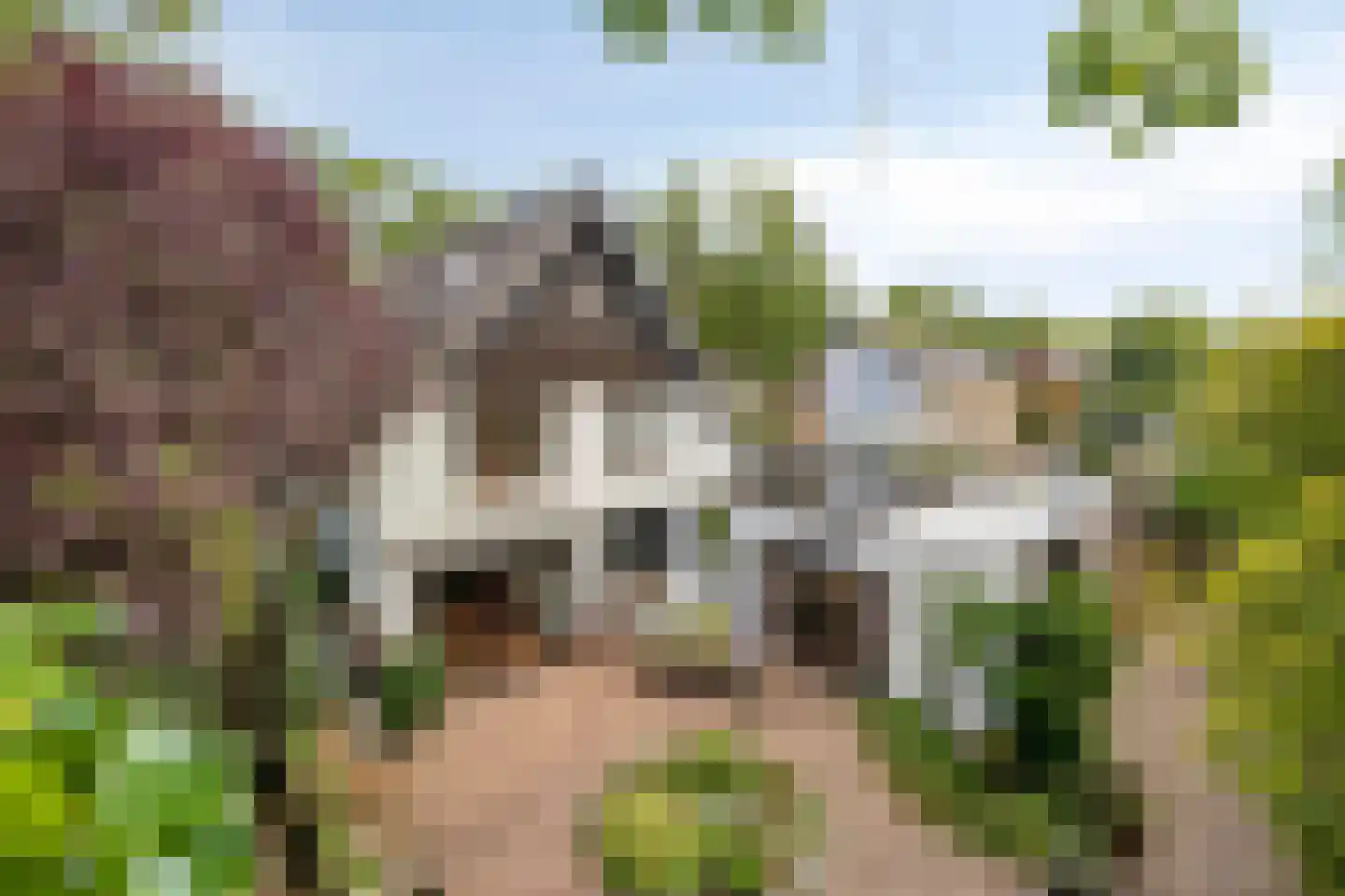 van Hornestraat 6 Loon op Zand thumbnail 40