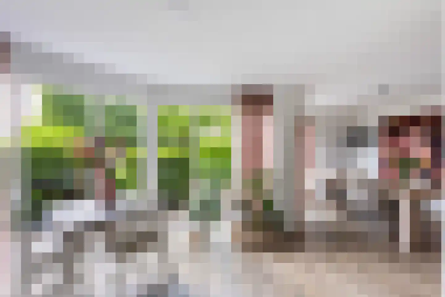 Van Hornmarke 15 Zwolle thumbnail 11