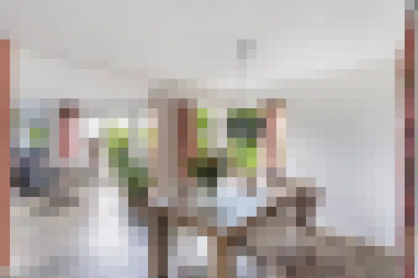 Van Hornmarke 15 Zwolle thumbnail 12