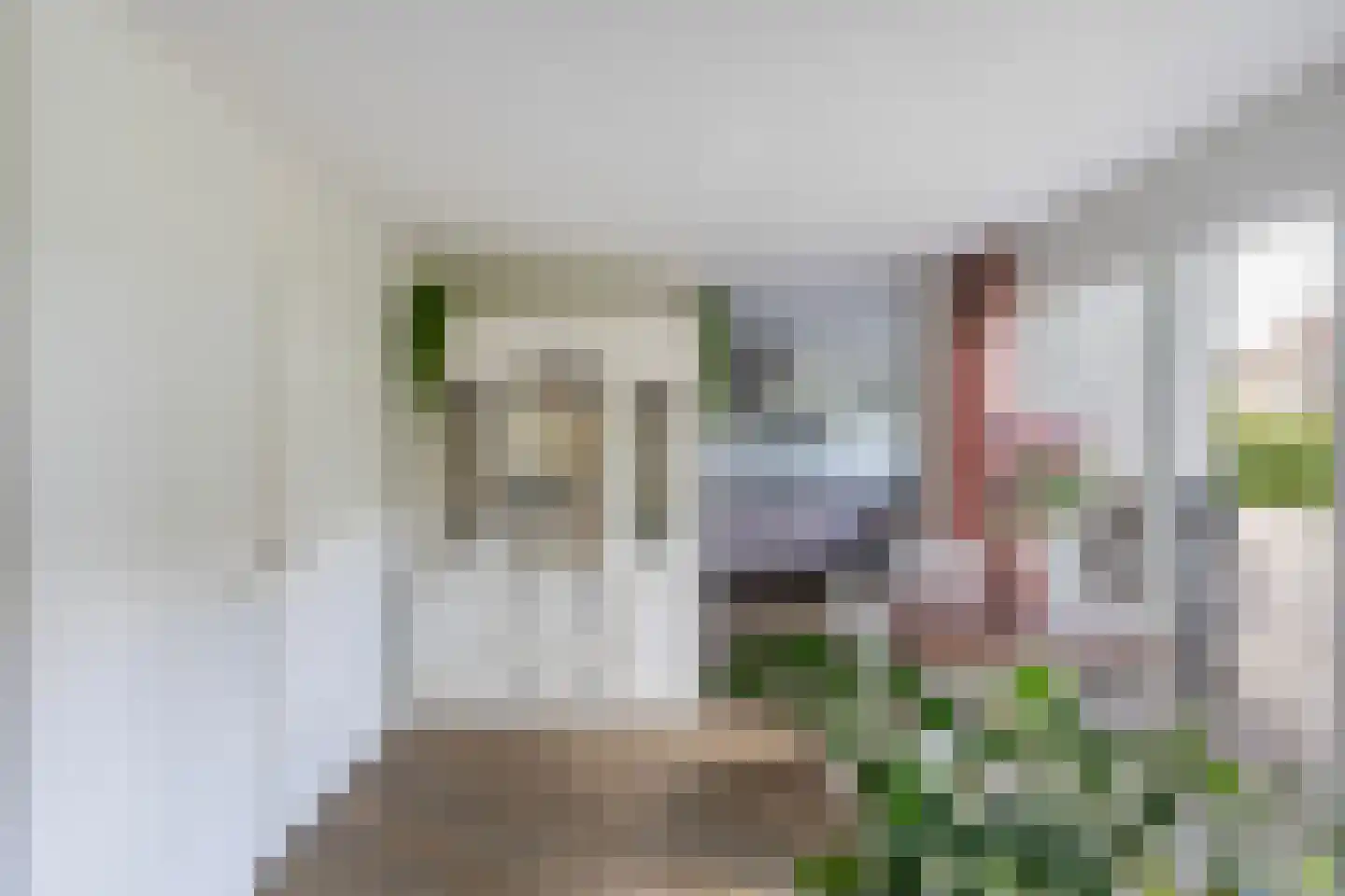 Van Hornmarke 15 Zwolle thumbnail 13
