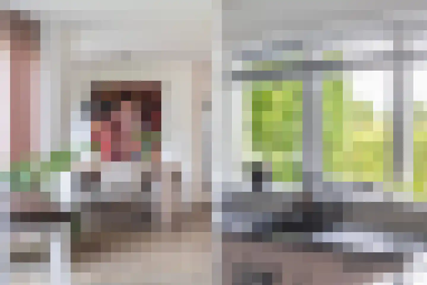 Van Hornmarke 15 Zwolle thumbnail 14