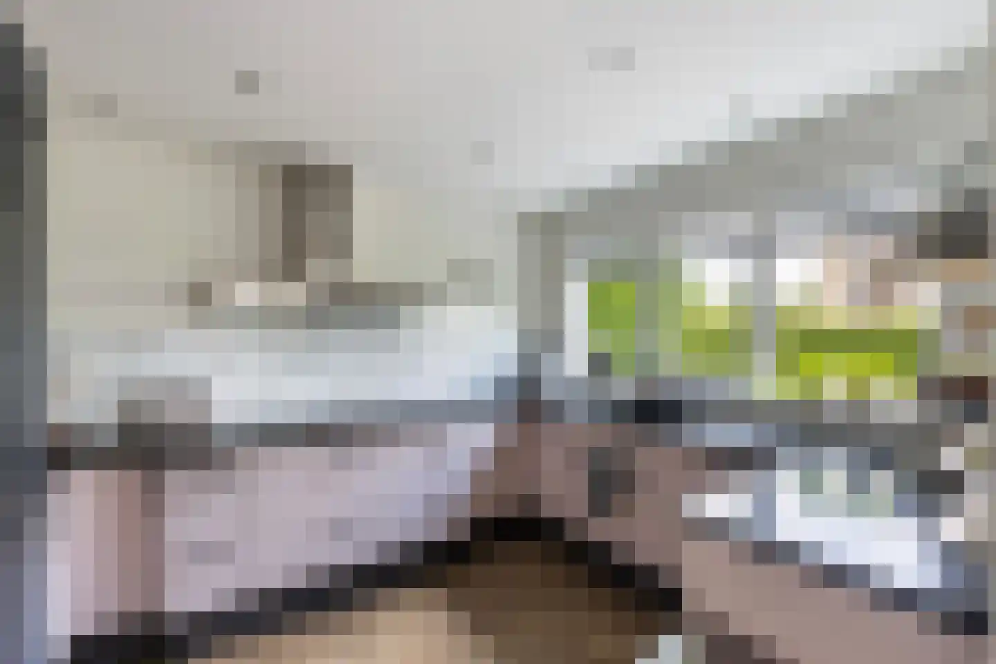 Van Hornmarke 15 Zwolle thumbnail 15