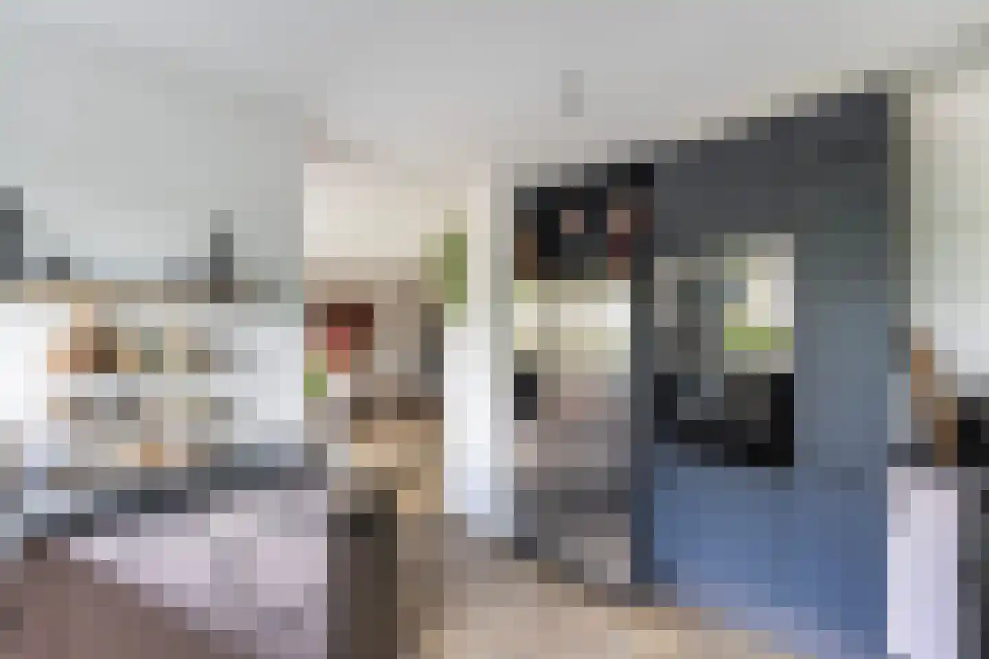 Van Hornmarke 15 Zwolle thumbnail 16